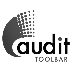 Audit Toolbar